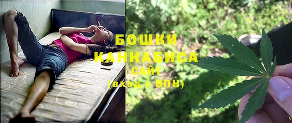 твердый Аркадак