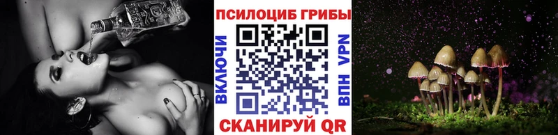 магазин    Нурлат  Псилоцибиновые грибы Psilocybe 
